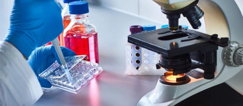 Biokimyəvi analizlər, Mikrobioloji analizlər, Hemotoloji analizlər, Qanın kliniki  analizi, qka