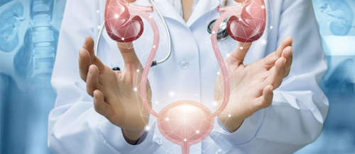 Cinsi zəiflik, Cinsi zəifliyin növləri, Cinsi istəksizliyin əlamətləri, Cinsi zəifliyin səbəbi, cinsi istəksizlik, kişi cinsi istəksizliyi