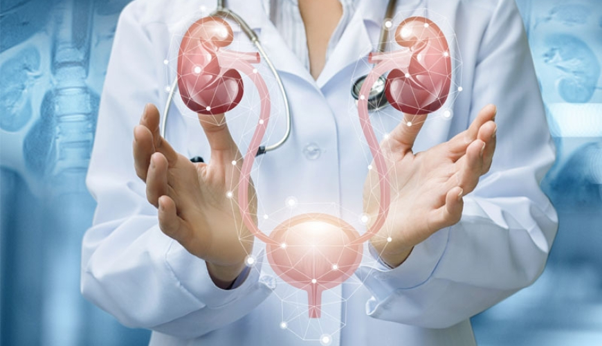 Cinsi zəiflik, Cinsi zəifliyin növləri, Cinsi istəksizliyin əlamətləri, Cinsi zəifliyin səbəbi, cinsi istəksizlik, kişi cinsi istəksizliyi