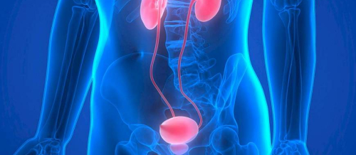 Andrologiya, Uroloq və Androloq, Androloji xəstəliklər, Kişi sonsuzluğu, Cinsi istəyin itirilməsi