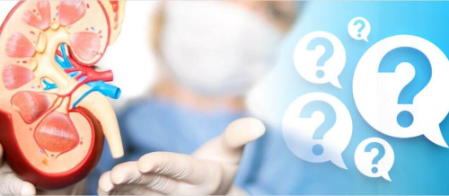 Andrologiya, Uroloq və Androloq, Androloji xəstəliklər, Kişi sonsuzluğu, Cinsi istəyin itirilməsi