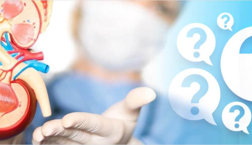 Andrologiya, Uroloq və Androloq, Androloji xəstəliklər, Kişi sonsuzluğu, Cinsi istəyin itirilməsi