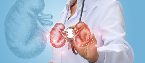 Andrologiya nədir, Kişi andrologiyası nə deməkdir, Andrologiya və Urologiya arasındakı fərqlər