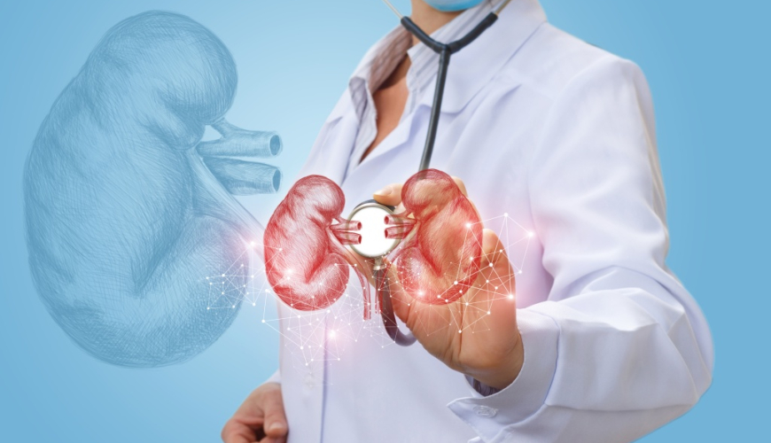 Andrologiya nədir, Kişi andrologiyası nə deməkdir, Andrologiya və Urologiya arasındakı fərqlər