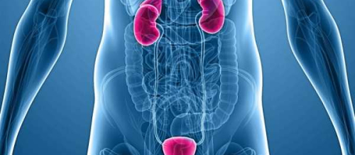 Andrologiya, Cinsi zəifliyin diaqnozu, Cavan kişilərdə cinsi zəifliyin müalicəsi, Andrologiya hansı xəstəlikləri müalicə edir