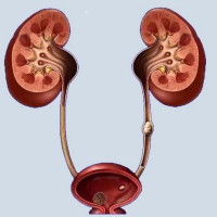 Andrologiya, Androloji problemlər, Urologiya və Andrologiya, Cinsi zəifliyin səbəbləri