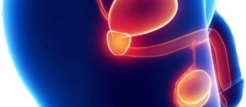 Uroloqa müraciət etmək, Androloq cərrahiyyə, kişi sonsuzluğu, cinsi azlıq