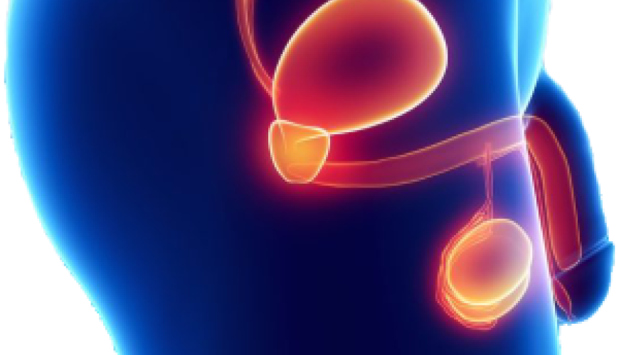 Uroloqa müraciət etmək, Androloq cərrahiyyə, kişi sonsuzluğu, cinsi azlıq