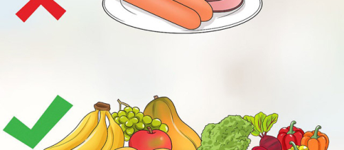 Diet proqramları, Qidalanma mütəxəssisi, Dietoloq, Dieta saxlamaq, Diyetisyen ilə dietoloq arasındakı fərq