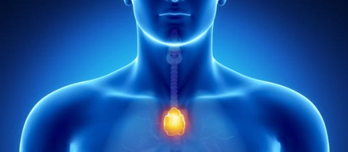 Endokrin xəstəliklər, Endokrin sistemi, Endokrinologiya, Endokrinologiya nədir, Endokrin vəzlər, endokrin xəstəliklər