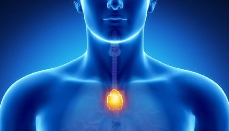 Endokrin xəstəliklər, Endokrin sistemi, Endokrinologiya, Endokrinologiya nədir, Endokrin vəzlər, endokrin xəstəliklər