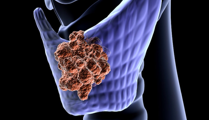 Endokrin xəstəliklər, Endokrin sistemi, Endokrinologiya, Endokrinologiya nədir, Endokrin vəzlər, endokrin xəstəliklər