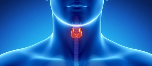 Hipotireoz nədir, Hipotireozun əsas əlamətləri, Düyünlü ur, Qalxanabənzər vəz, düyünlü törəmə, Diffuz toksiki ur