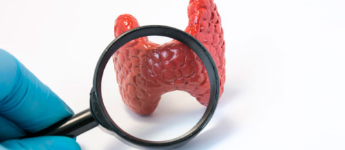 Endokrinologiya, Şəkərsiz diabet, endokrinoloji, Şəkərli Diabet, Endokrin sonsuzluq