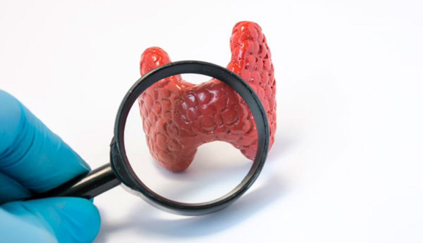 Endokrinologiya, Şəkərsiz diabet, endokrinoloji, Şəkərli Diabet, Endokrin sonsuzluq