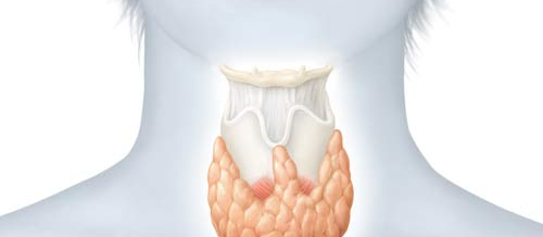 Endokrinologiya nədir, Endokrinologiya, Endokrin sistemi, Endokrin vəzlər