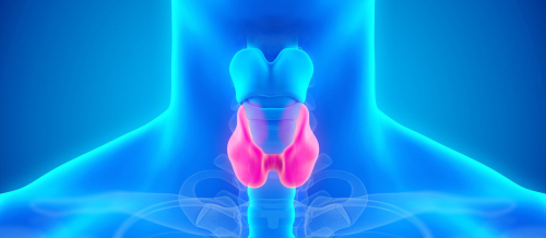 Endokrinologiya nədir, Endokrinoloq kimdir, Endokrinoloqların müalicə etdikləri xəstəliklər, endokrin sistemin xəstəlikləri