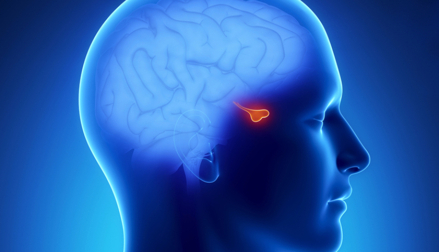 Endokrinologiya, həkim endokrinoloq, endokrin xəstəliklərin diaqnostikası, endokrinoloji