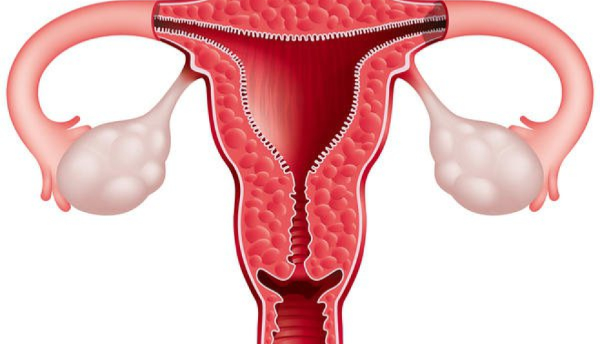 Mama ginekologiya,Cinsi yolla yoluxan xəstəliklər, Ginekoloji xəstəliklər