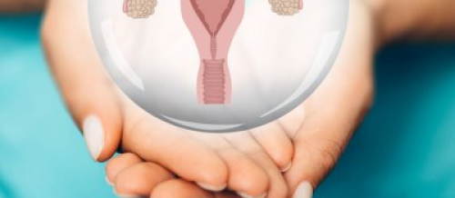 Mama ginekologiya, Ginekoloq hansı xəstəlikləri müalicə edir, Ginekoloji xəstəliklər, Hamiləlik dövründə xəstəliklər