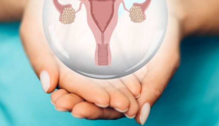 Mama ginekologiya, Ginekoloq hansı xəstəlikləri müalicə edir, Ginekoloji xəstəliklər, Hamiləlik dövründə xəstəliklər