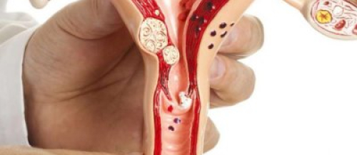 Mama ginekologiya, Ginekoloq hansı xəstəlikləri müalicə edir, Ginekoloji xəstəliklər, Hamiləlik dövründə xəstəliklər