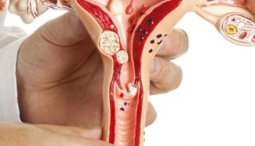 Mama ginekologiya, Ginekoloq hansı xəstəlikləri müalicə edir, Ginekoloji xəstəliklər, Hamiləlik dövründə xəstəliklər