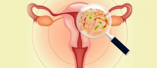 Ginekologiya, Ginekoloji müayinə, Ginekoloq, Ginekoloq nəyə baxır, mama-ginekoloq