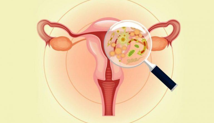 Ginekologiya, Ginekoloji müayinə, Ginekoloq, Ginekoloq nəyə baxır, mama-ginekoloq