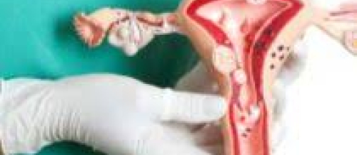 Qadın cinsi xəstəlikləri, ginekoloji xəstəliklər, mama ginekoloq, ginekoloji müayinə, ginekoloji müalicə, ginekoloji yoxlanış