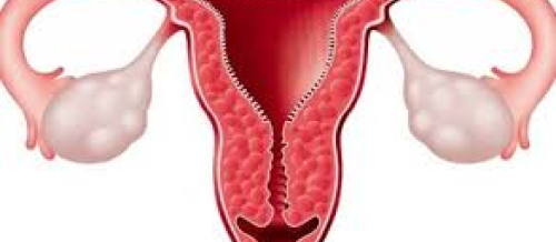 ginekoloji xəstəliklər, Cinsi yolla keçən xəstəliklər, qadın xəstəlikləri