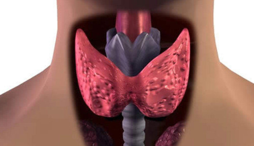 Hamiləlikdə zob, Hamiləlikdə zob səbəbləri, Hamiləlikdə zob əlamətləri, Tiroid hormonları, hipotiroidizm