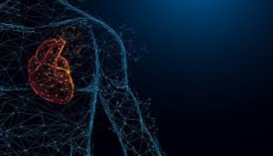 Kardiologiya, kardioloq, kardioloji check up, ürək xəstəlikləri, exokardioqrafiya