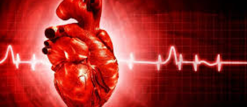 Kardioloq, kardiologiyanın əsas xəstəlikləri, kardioloji müayinə, ürək damar xəstəlikləri