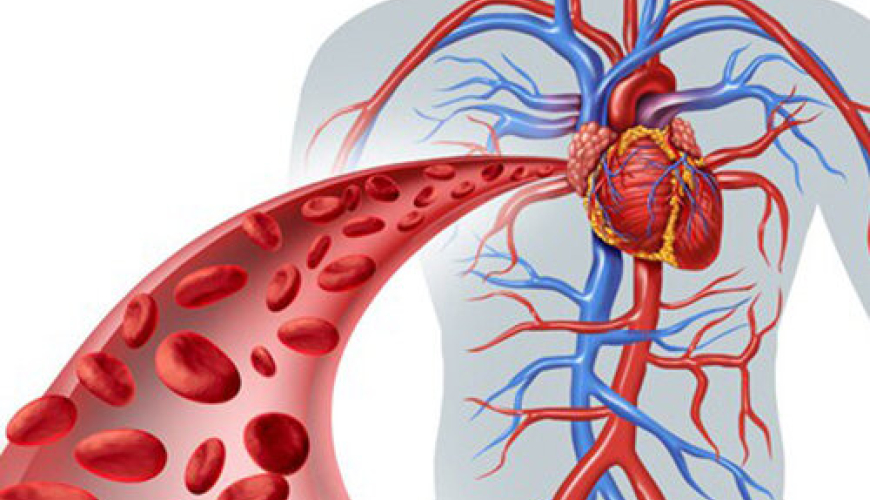 Kardiologiya və Ürək Prosedurları, Arteriya Xəstəliyi, Ürək infarkti, Ürək qapaqlarının xəstəlikləri, damar xəstəlikləri