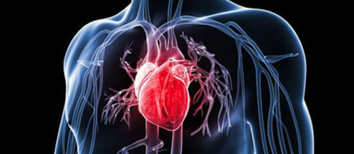 Ürək-damar həkimi, ürək-damar xəstəlikləri, Kardioloji check up paketi, Aritmiya