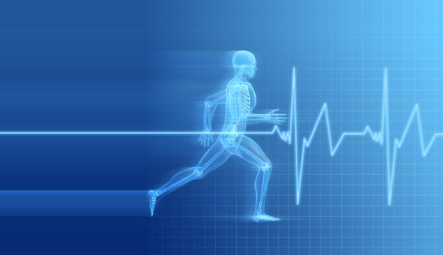 Piylənmənin səbəb olduğu ürək xəstəlikləri, EKQ, EXO-KQ, Ürək-damar sisteminin xəstəlikləri, Ürəyin işemik xəstəliyi