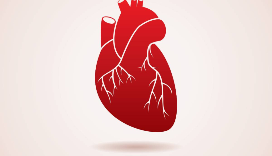 Kardiologiya və Ürək Prosedurları, Arteriya Xəstəliyi, Ürək infarkti, Ürək qapaqlarının xəstəlikləri, damar xəstəlikləri