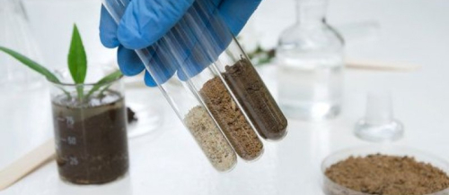 Qanın kliniki  analizi, QKA, Analizlər, Laborator analizlər, Qanın ümumi analizi qiyməti