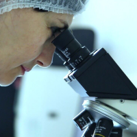 Leykositlər, Qanın laxtalanması, Qanın ümumi klinik analizi, Qanın biokimyəvi analizi