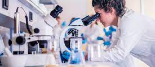 Laboratoriya, laborator müayinə, laboratoriya analizləri, laboratoriya analiz nəticələri