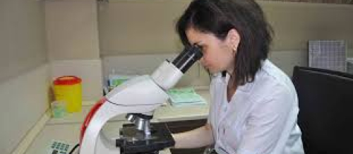 Tibbi laboratoriya texnikaları proqramı, laboratoriya xidmətləri, laboratoriya analizləri