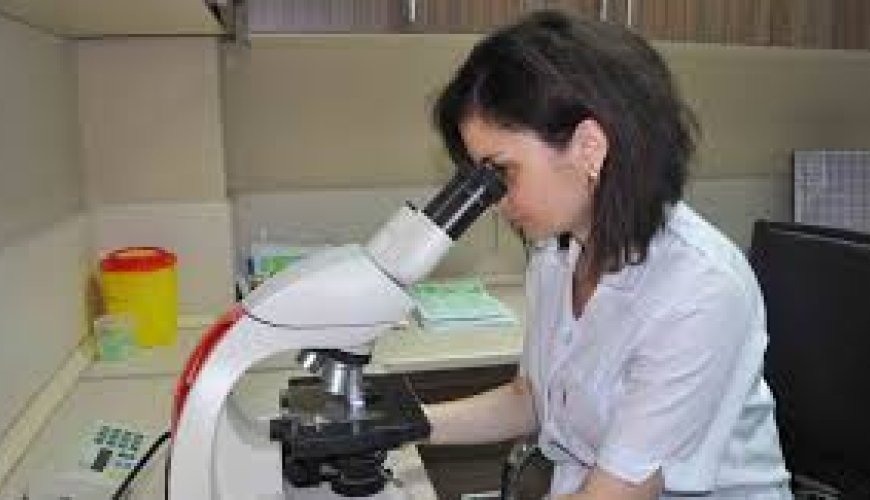 Tibbi laboratoriya texnikaları proqramı, laboratoriya xidmətləri, laboratoriya analizləri