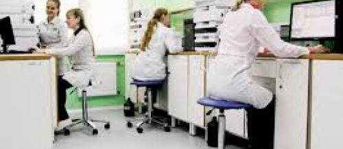 Tibbi laboratoriya texnikaları proqramı, laboratoriya xidmətləri, laboratoriya analizləri