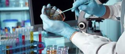 Tibbi laboratoriya texnikaları, laboratoriya xidmətləri, laboratoriya analizləri