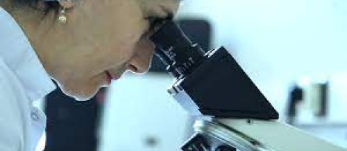 Laboratoriya analizləri, hormon analizləri, laboratoriya xidmətləri, tibbi laboratoriya