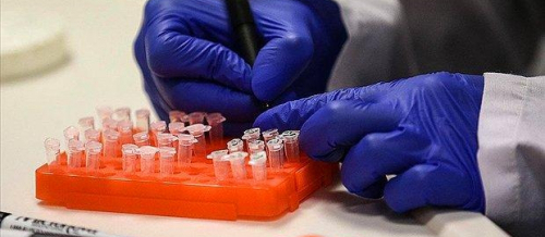 Cinsi yolla keçən infeksiyalar, infeksiyalarn növləri, Göbələk infeksiyaları, infeksiyaların yaranma səbəbləri