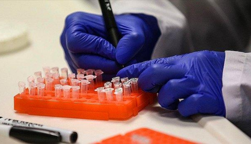 Cinsi yolla keçən infeksiyalar, infeksiyalarn növləri, Göbələk infeksiyaları, infeksiyaların yaranma səbəbləri