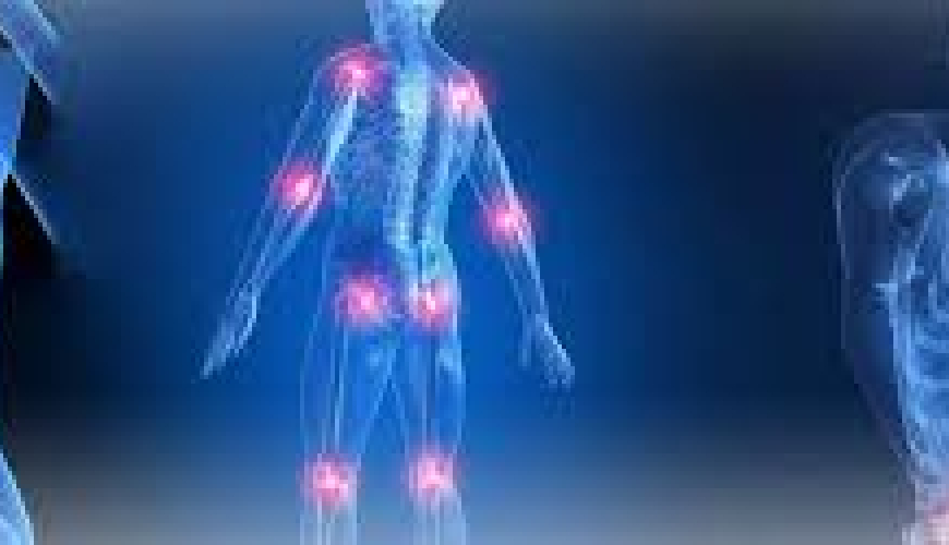 Sinir sistemi, nevroloji simptomlar, nevroloji müalicə, nevroloji müayinə üsulları, nevroloji xəstəliklər