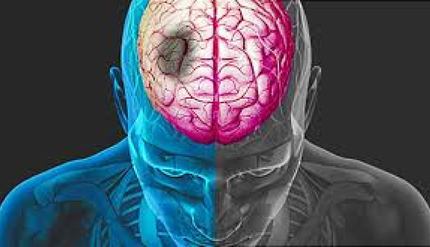 Sinir sistemi, nevroloji simptomlar, nevroloji müalicə, nevroloji müayinə üsulları, nevroloji xəstəliklər